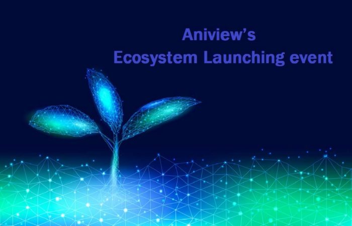 Aniview Ecosystem Launching